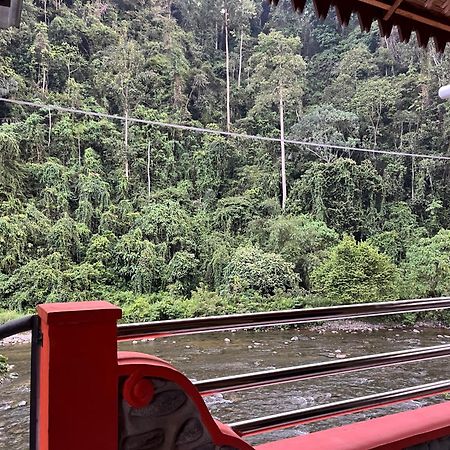 Ridho'S Homestay & Jungle Trekking Bukit Lawang Eksteriør bilde