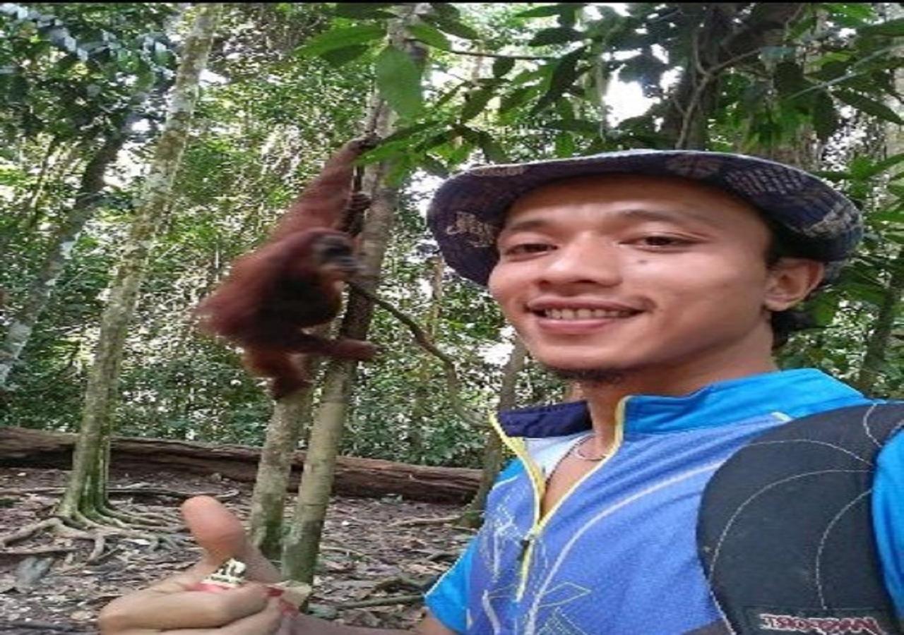 Ridho'S Homestay & Jungle Trekking Bukit Lawang Eksteriør bilde