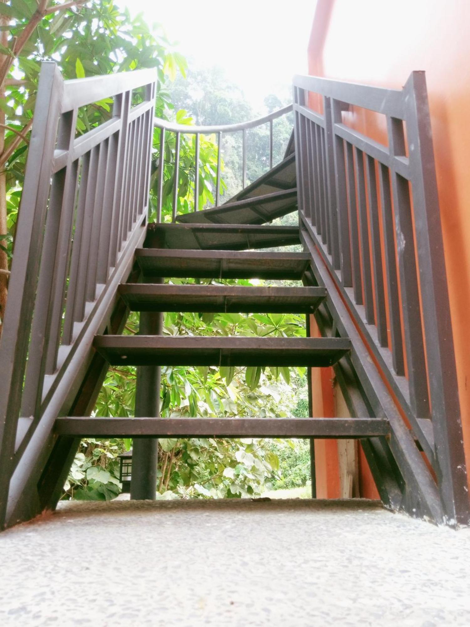 Ridho'S Homestay & Jungle Trekking Bukit Lawang Eksteriør bilde