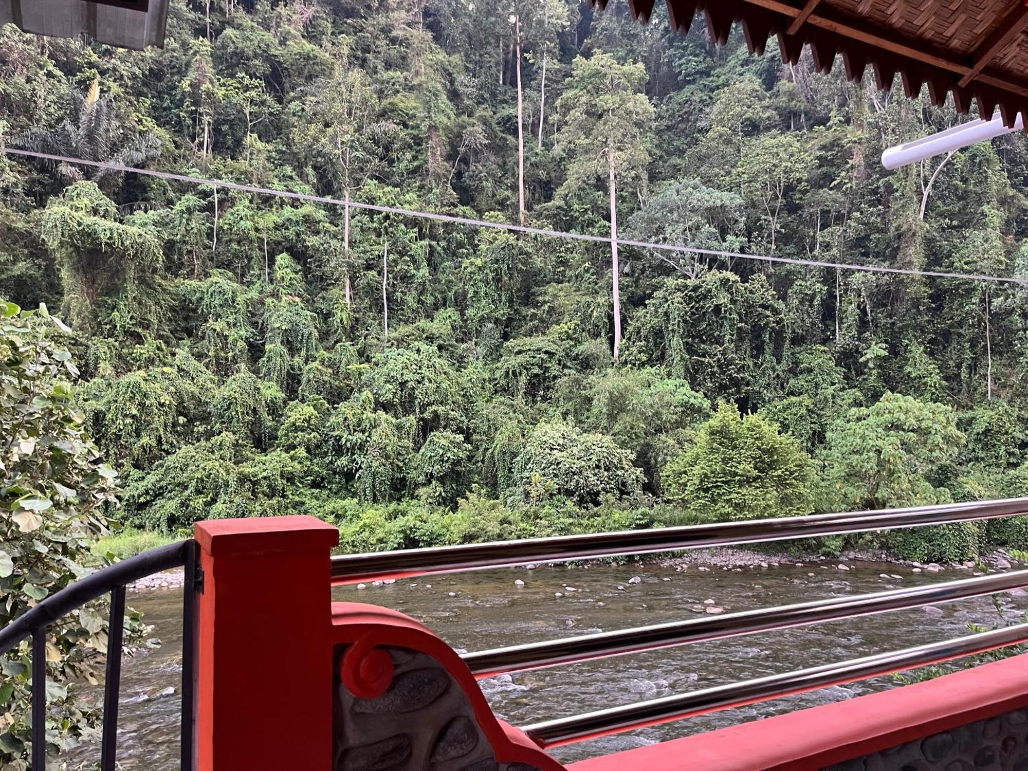 Ridho'S Homestay & Jungle Trekking Bukit Lawang Eksteriør bilde